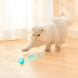 Interactive Self-Rolling Pet Toy | Engaging Safe Ball for Dogs and Cats 0
