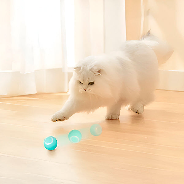 Interactive Self-Rolling Pet Toy | Engaging Safe Ball for Dogs and Cats 0