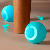 Interactive Self-Rolling Pet Toy | Engaging Safe Ball for Dogs and Cats 1