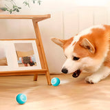 Interactive Self-Rolling Pet Toy | Engaging Safe Ball for Dogs and Cats 2