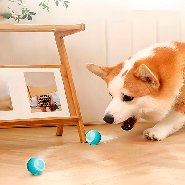 Interactive Self-Rolling Pet Toy | Engaging Safe Ball for Dogs and Cats 2