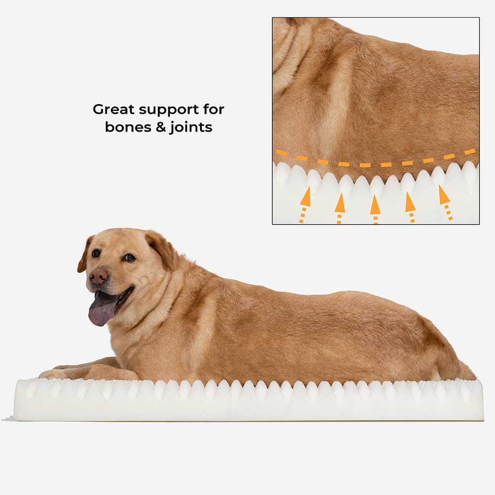 Large Dog Bed | Plush Orthopedic Anxiety Relief | Cozy Fluffy Support 8
