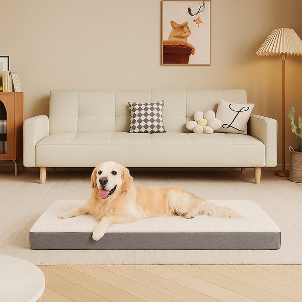 Large Dog Bed | Waterproof Orthopedic Memory Foam | Comfortable Plush Design 0