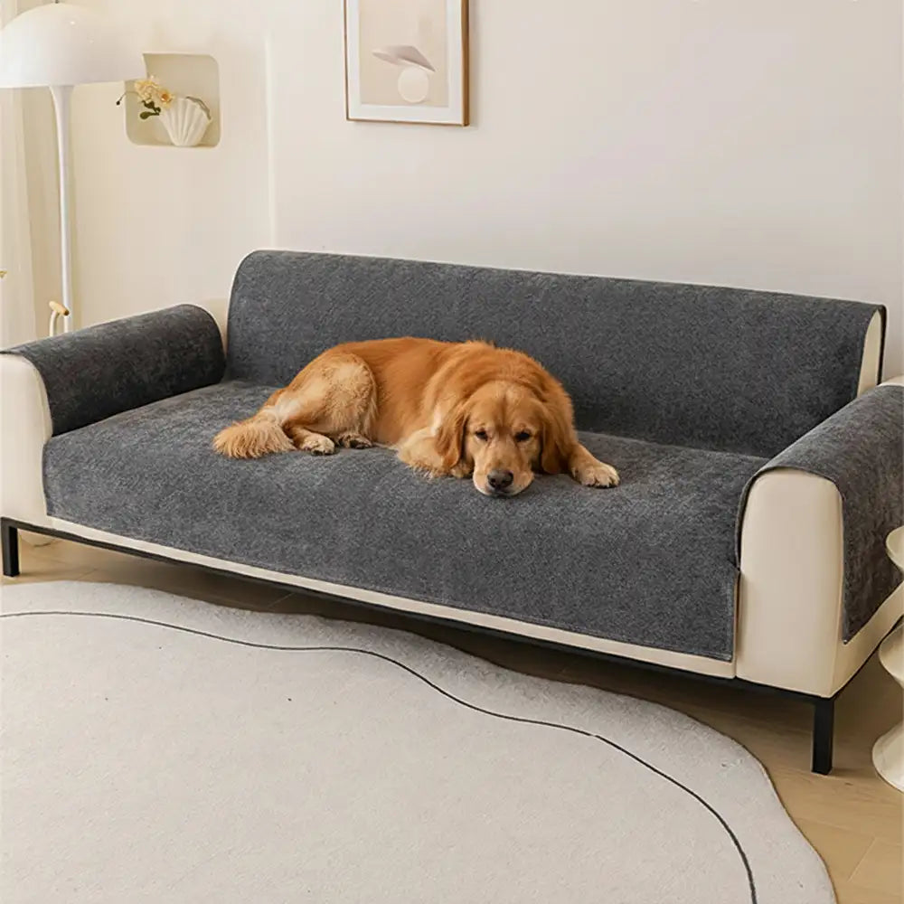 One-Piece Chenille Scratch-Resistant Durable Water-Repellent Non-Slip Stretch Couch Cover