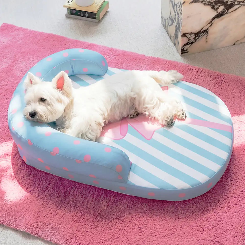 Orthopedic Dog Bed | Cooling Breathable Support | Stylish Cozy Design for Comfort 0