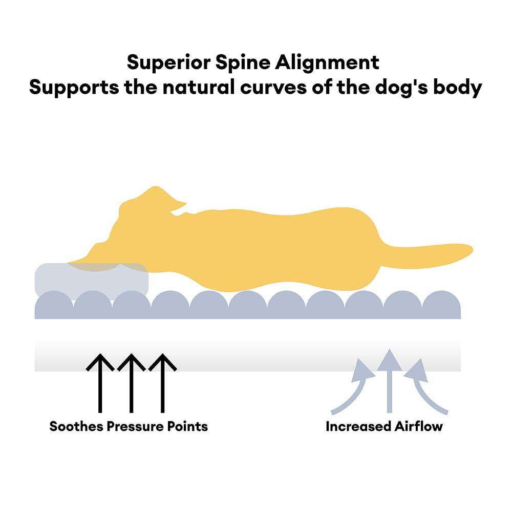Orthopedic Dog Bed | Soft Teddy Fleece Large Sofa with Supportive Bolsters 3