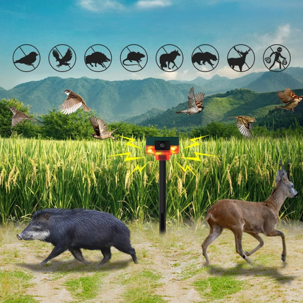 Outdoor Solar Bird Deterrent | High-Decibel Motion-Activated Repeller | Effective Property Protection 0