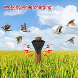 Outdoor Solar Bird Repeller | Eco-Friendly Sound Deterrent for Gardens 2