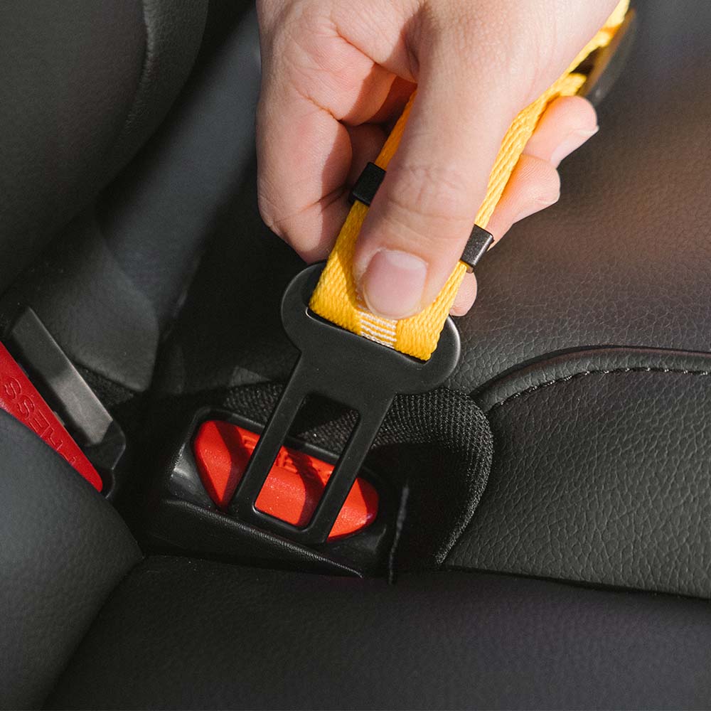 Pet Accessories | Adjustable Nylon Dog Car Seat Belt | Safe and Comfortable Travel 6