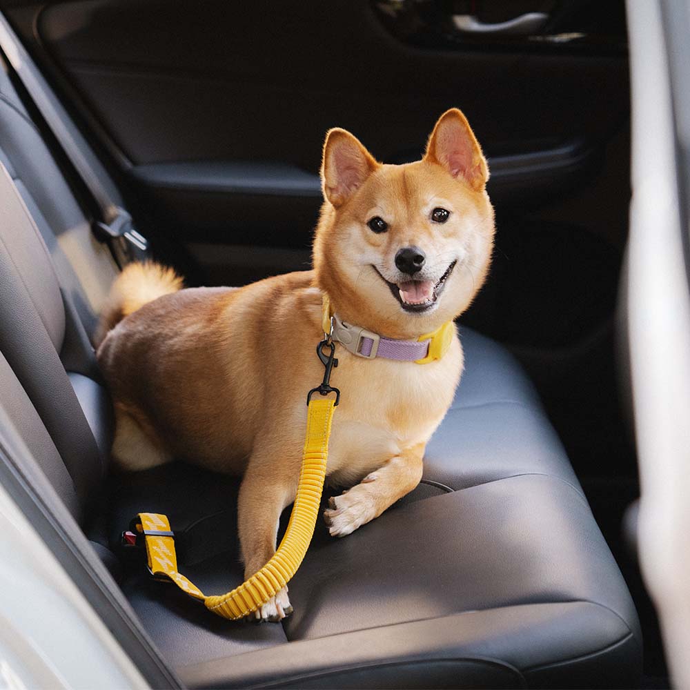 Pet Accessories | Adjustable Nylon Dog Car Seat Belt | Safe and Comfortable Travel 8