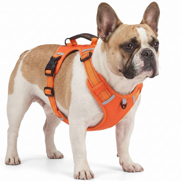Pet Adjustable Reflective Dog Harness | Breathable Mesh Saddle for Small to Medium Dogs 0