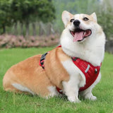 Pet Adjustable Reflective Dog Harness | Breathable Mesh Saddle for Small to Medium Dogs 11