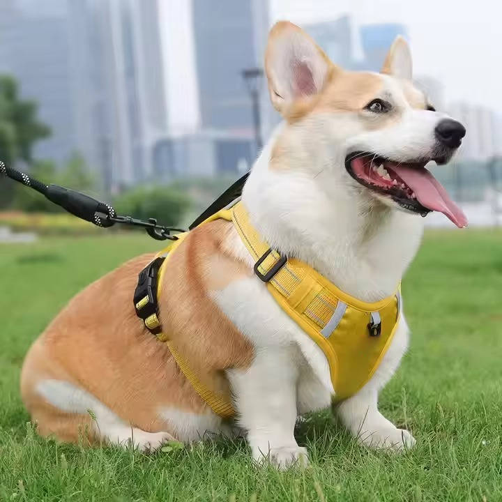 Pet Adjustable Reflective Dog Harness | Breathable Mesh Saddle for Small to Medium Dogs 9
