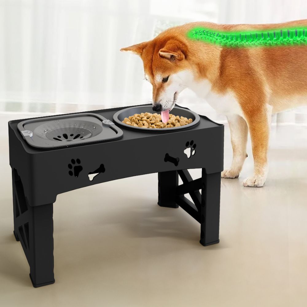 Pet Adjustable Stainless Steel Slow Feeder | Elevated Dog Bowl for Healthy Eating 1