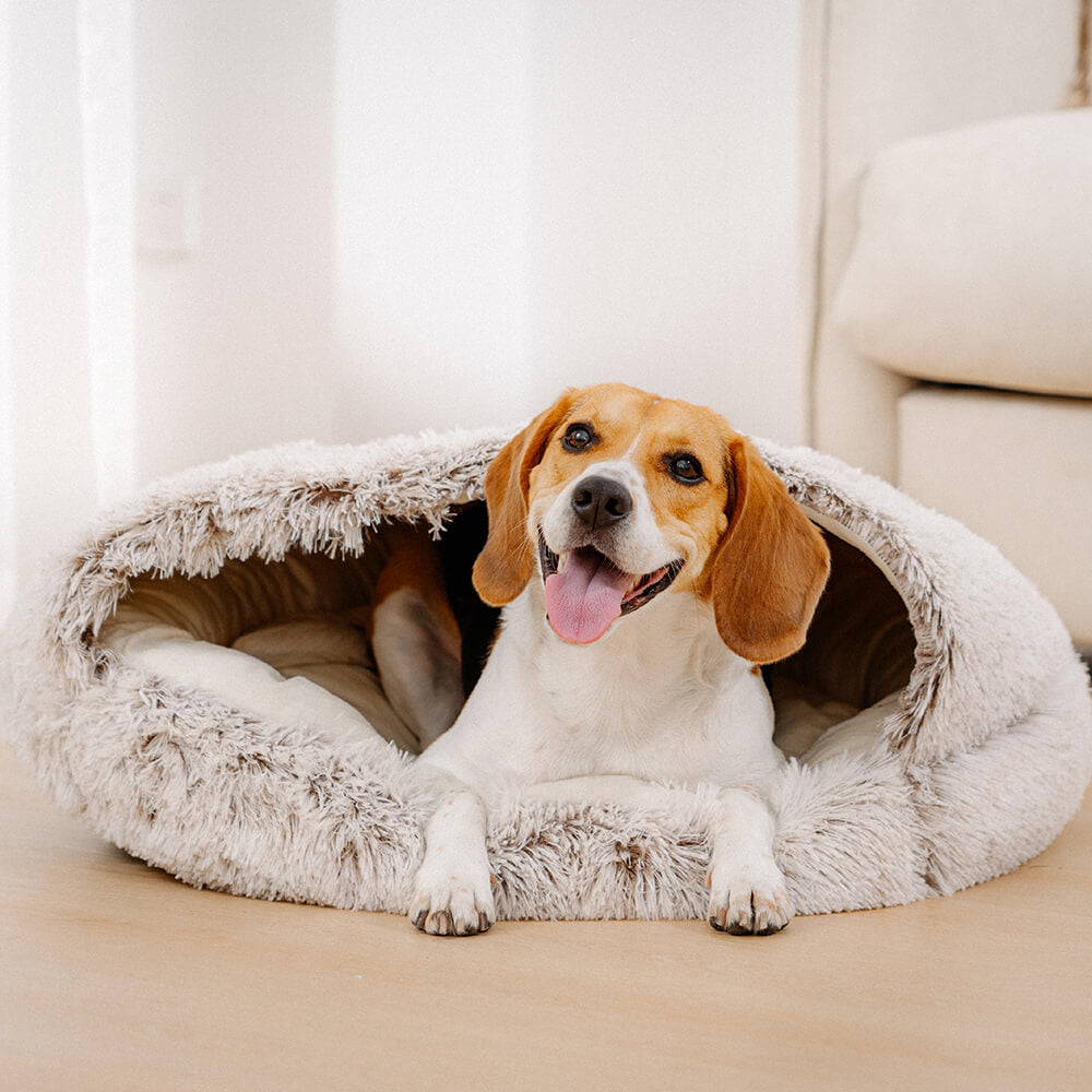 Pet Bed | Cozy Plush Semi-Enclosed Nest Bed | Calming Warmth for Dogs and Cats 2