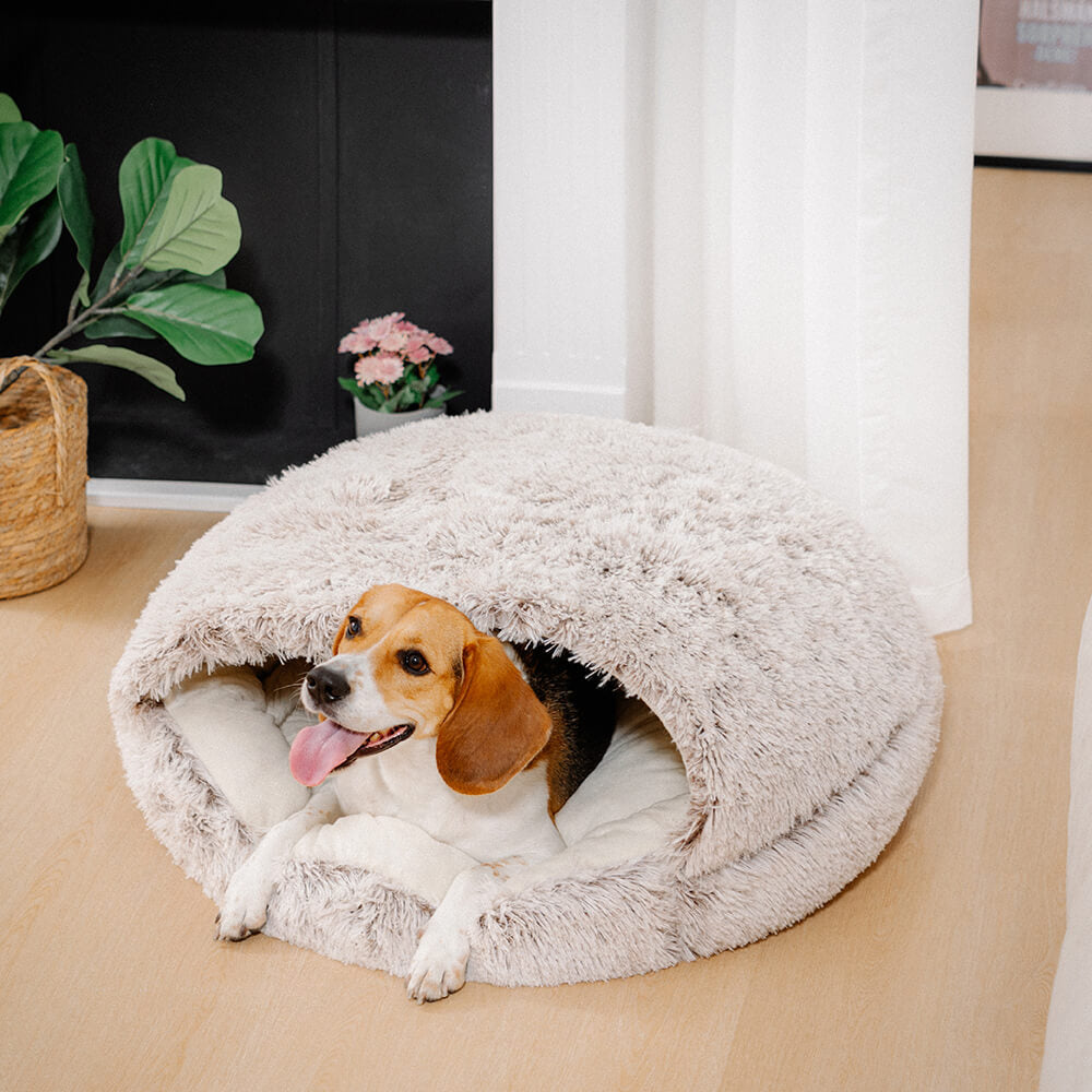 Pet Bed | Cozy Plush Semi-Enclosed Nest Bed | Calming Warmth for Dogs and Cats 5