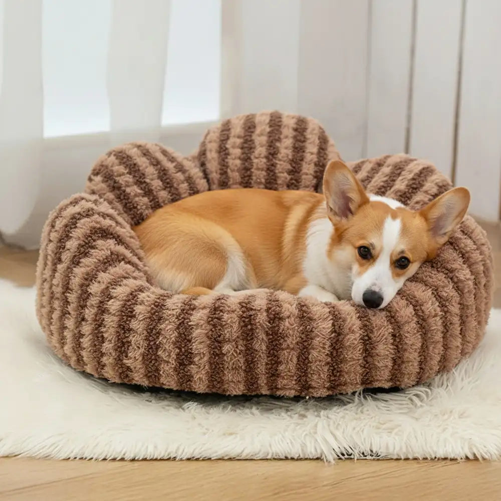 Pet Bed | Plush Faux Lambswool Sofa | Cozy Petal-Shaped Design 3