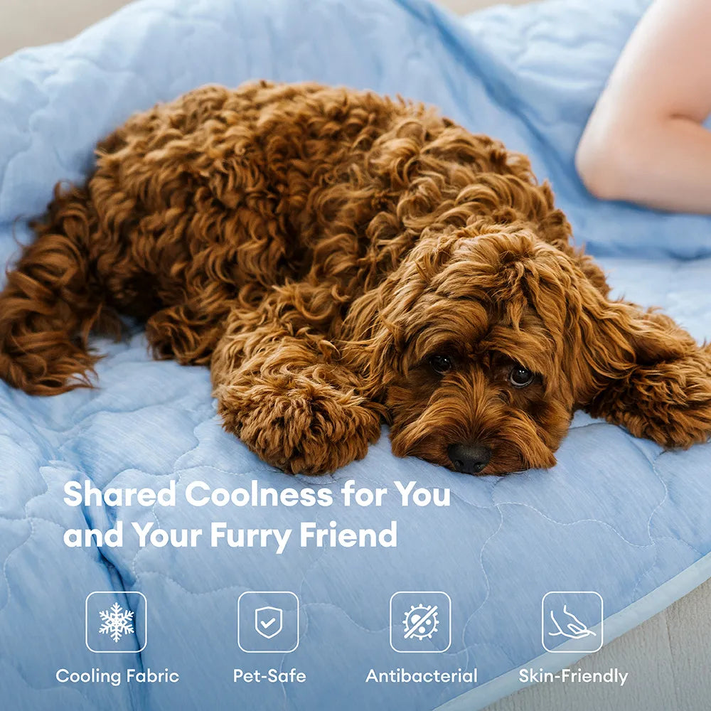 Pet Blanket | Cooling Fabric Summer Blanket | Soft Double-Sided Cozy Pet Comfort 3