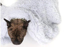 Pet Blanket | Ultra Soft Vegan Fur Throw Blanket for Couch | Calming Anxiety Relief 2