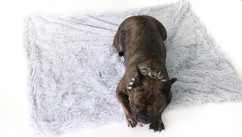 Pet Blanket | Ultra Soft Vegan Fur Throw Blanket for Couch | Calming Anxiety Relief 3