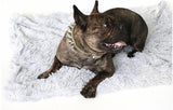 Pet Blanket | Ultra Soft Vegan Fur Throw Blanket for Couch | Calming Anxiety Relief 8
