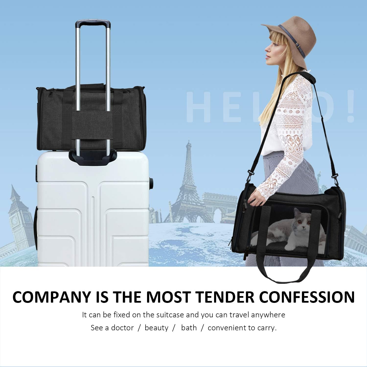 Pet Carrier Bag for Small Medium Dogs and Cats | Airline-Approved Travel Carrier 2