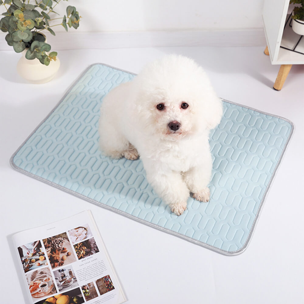 Pet Cooling Ice Silk Mat | Breathable Non-Slip Dog and Cat Bed 0
