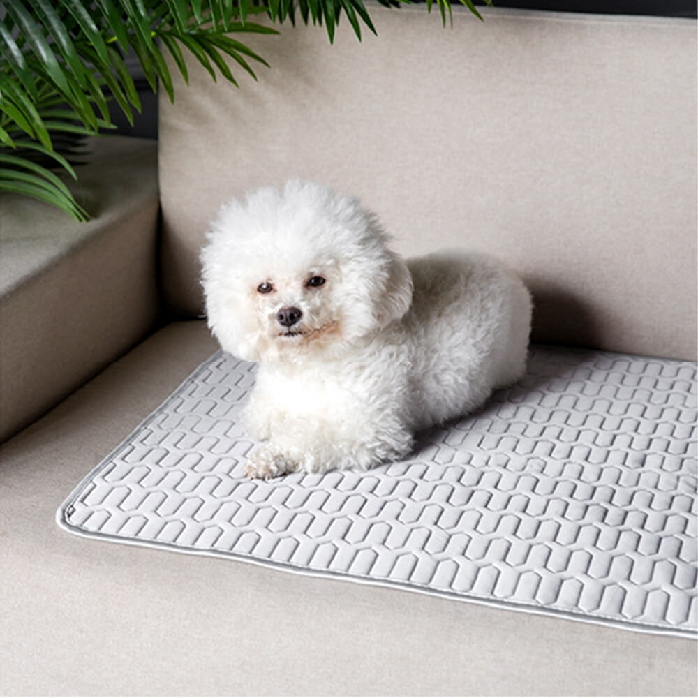 Pet Cooling Ice Silk Mat | Breathable Non-Slip Dog and Cat Bed 3