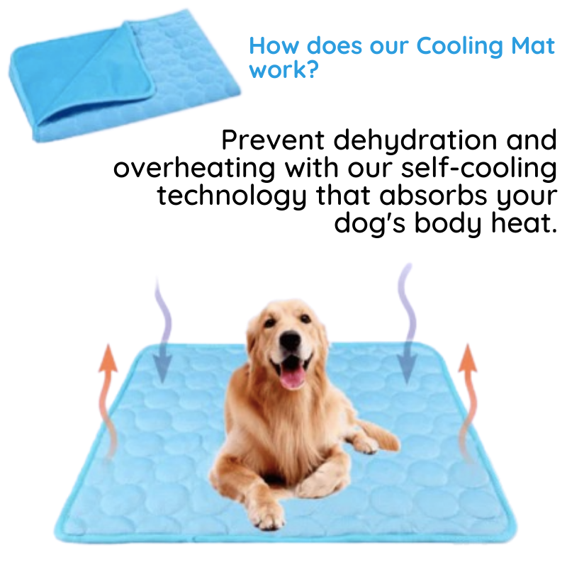 Pet Cooling Mat | Premium Cooling Silk Dog Cooling Bed | Lightweight Portable Mat for Instant Relief 2