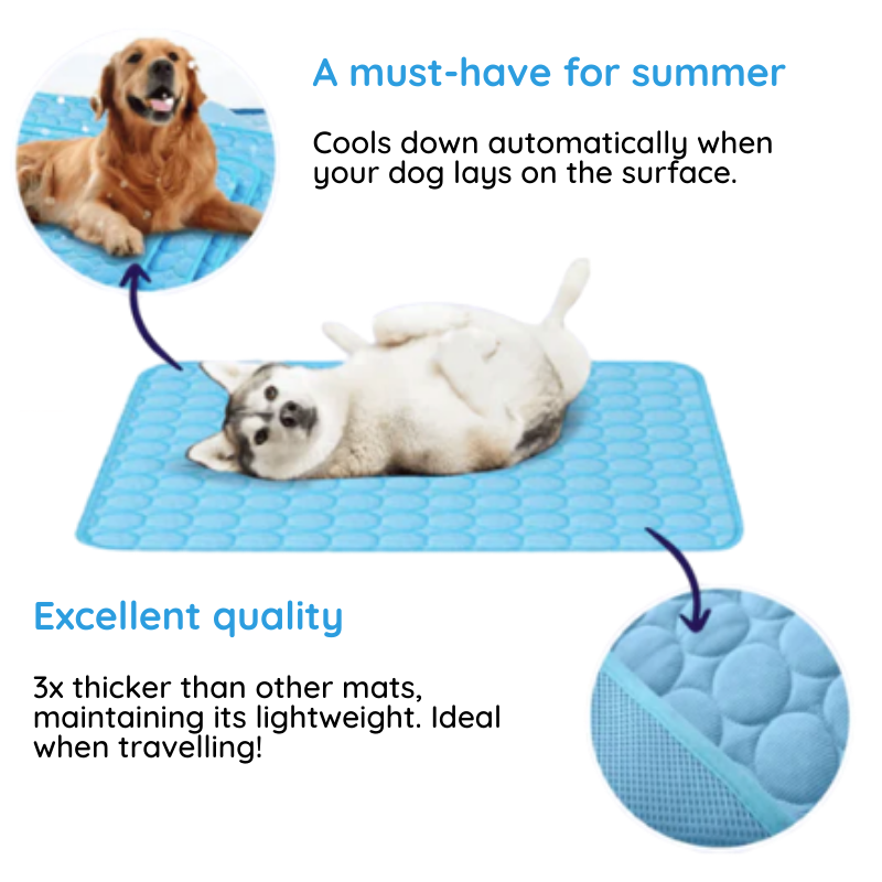 Pet Cooling Mat | Premium Cooling Silk Dog Cooling Bed | Lightweight Portable Mat for Instant Relief 3