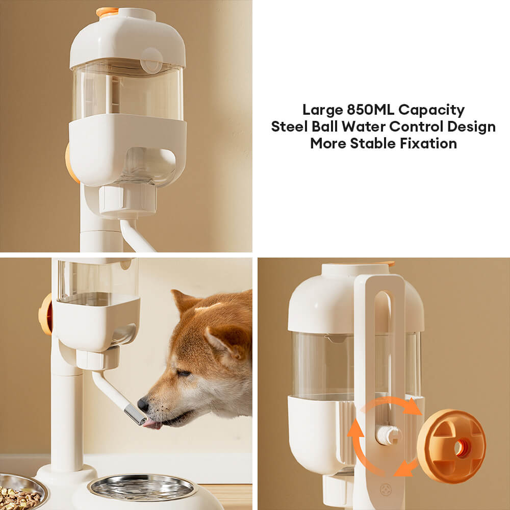 Pet Feeding Station | Durable Polypropylene Automatic Food Dispenser | Convenient Hydration and Feeding Solution 2