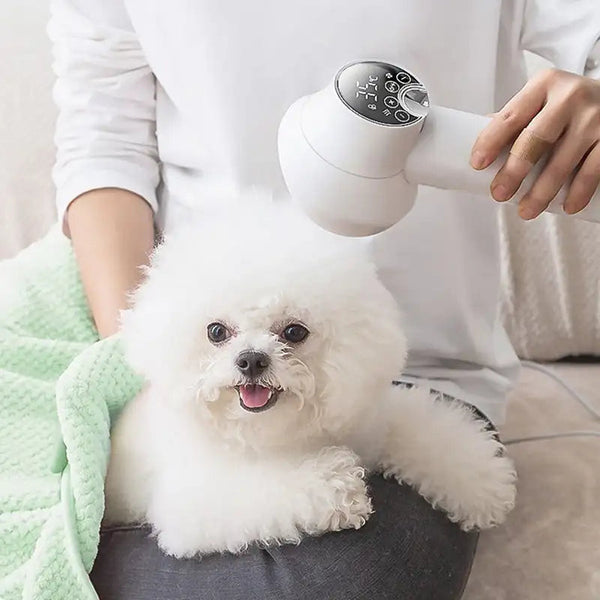 Pet Grooming Tool | 2-in-1 Dog Hair Dryer with Slicker Brush | Efficient and Quiet 0