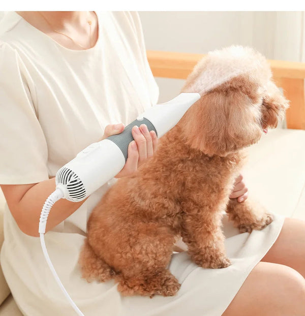 Pet Grooming Tool | 3-in-1 Dog Hair Dryer and Brush | Efficient and Ergonomic 0