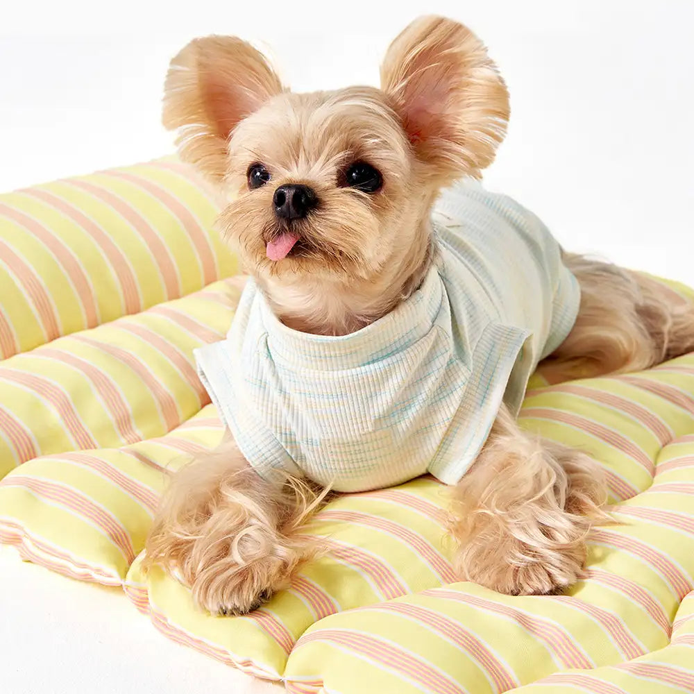 Pet Mat | Breathable Double-Sided Polyester Dog Bed | Soft and Supportive 4