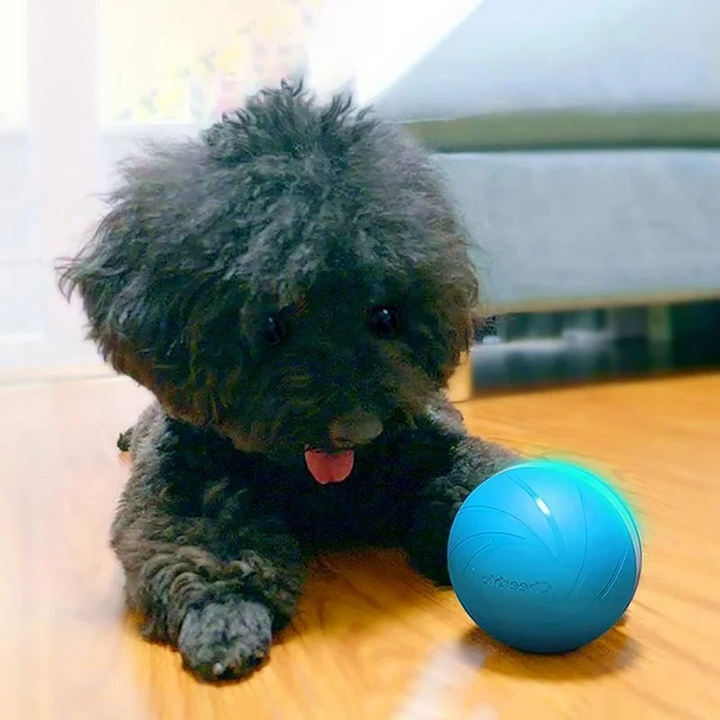 Pet Motion Toy | Interactive Rechargeable Ball for Dogs and Cats | Intelligent Entertainment 0