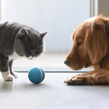 Pet Motion Toy | Interactive Rechargeable Ball for Dogs and Cats | Intelligent Entertainment 3