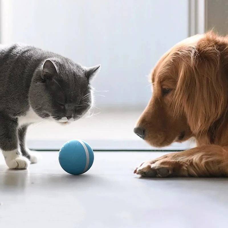 Pet Motion Toy | Interactive Rechargeable Ball for Dogs and Cats | Intelligent Entertainment 3