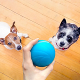 Pet Motion Toy | Interactive Rechargeable Ball for Dogs and Cats | Intelligent Entertainment 4