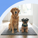 Pet Mud Mat | Ultra-Absorbent Chenille Doormat | Quick-Dry Non-Slip Design 1