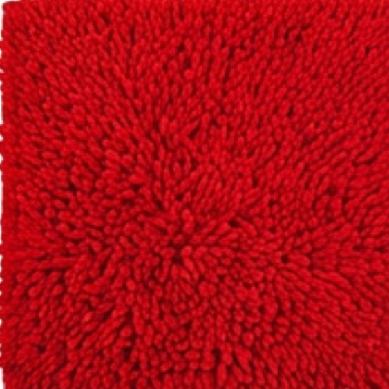 Pet Mud Mat | Ultra-Absorbent Chenille Doormat | Quick-Dry Non-Slip Design 10