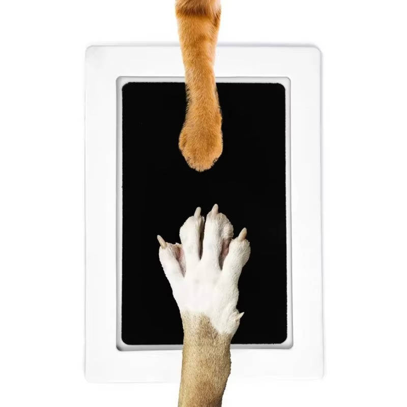 Pet Paw Print Kit | Ink-Free Safe Paw Impression Keepsake 1