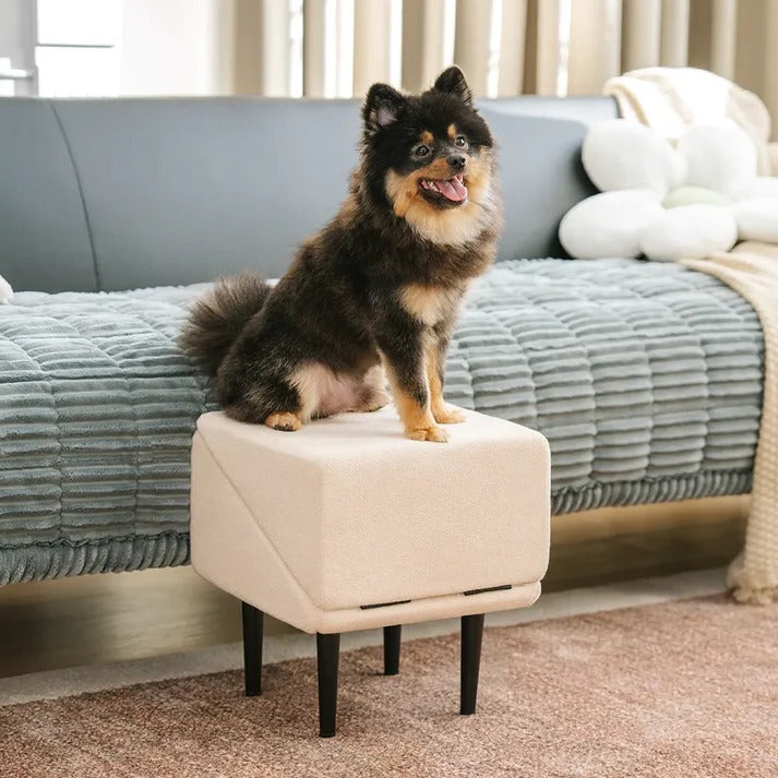 Pet Ramp for Bed | Durable 2-in-1 Convertible Dog Ramp | Safe Access Step Stool 6