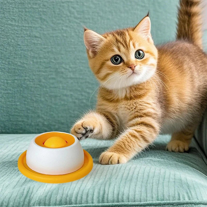 Pet Slow Feeder Lick Mat | Interactive Non-Slip Feeding Tool 2