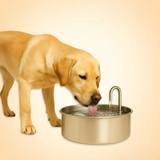 Pet Water Fountain | Stainless Steel Cat Drinking Fountain | Large Capacity Quiet Operation 1