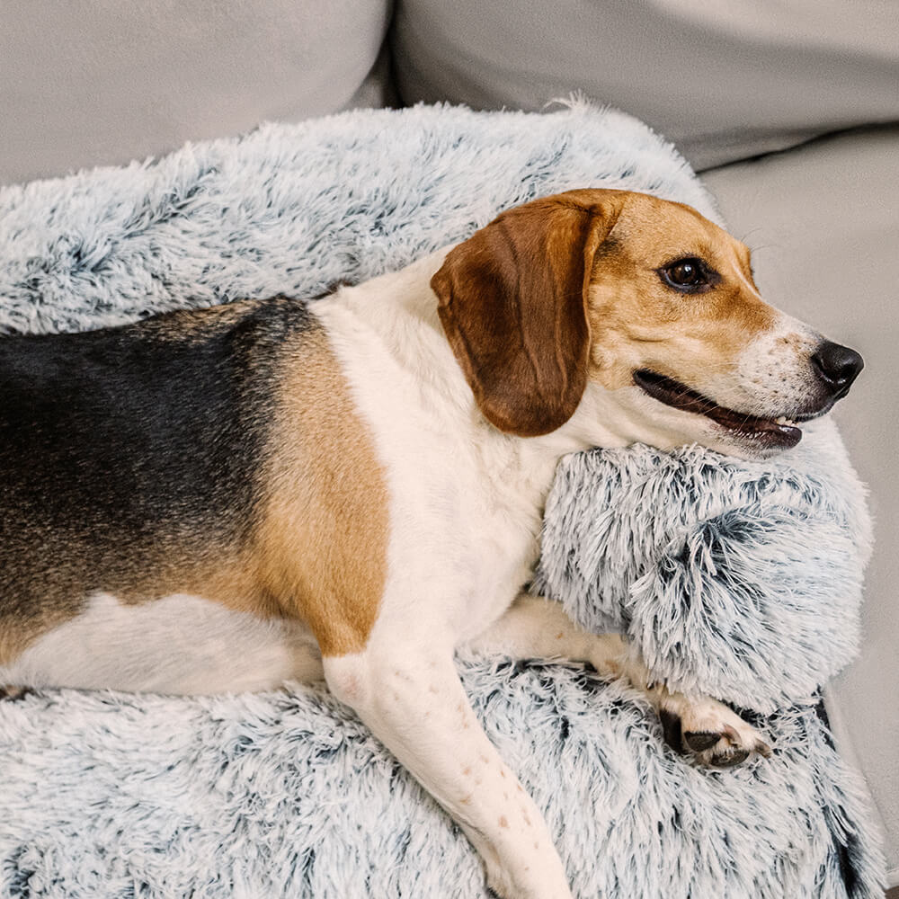 Pet's Calming Faux Fur Dog Bed | Comfortable Removable Washable Protector 3