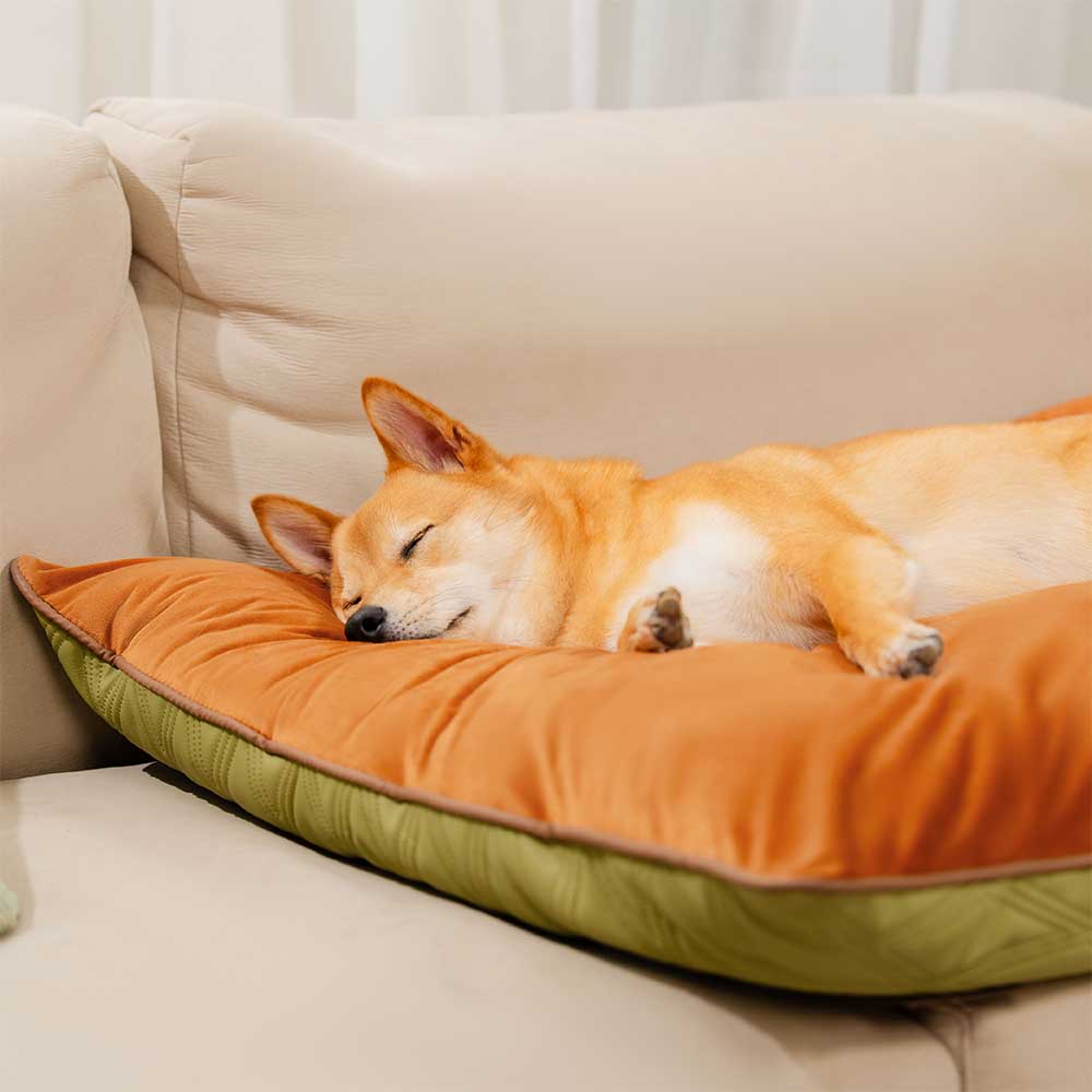Pet's Calming Faux Leather Dog Mat | Water-Repellent Dual-Sided Comfort 8