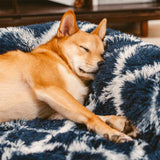 Pet's Classic Plaid Orthopedic Sofa Bed | Cozy and Supportive Design 1