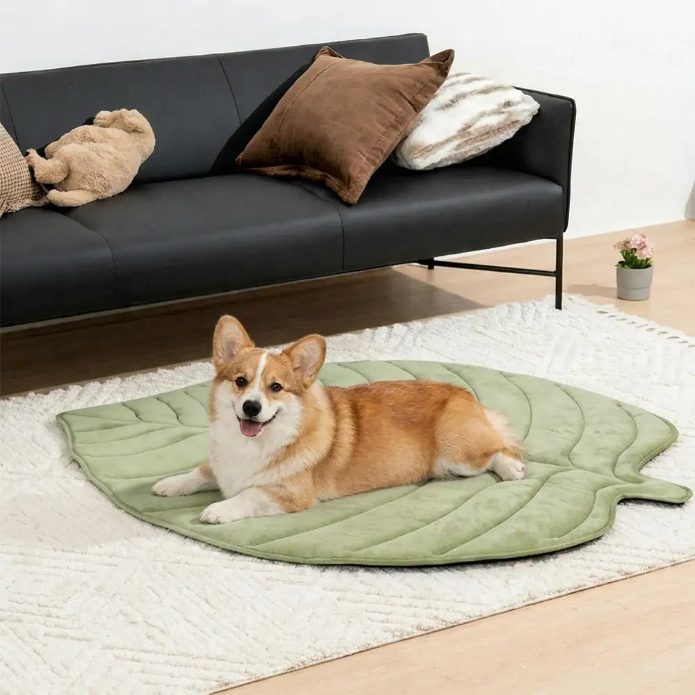 Pet's Cooling Fabric Dog Mat | Leaf-Shaped Comfortable Non-Slip Bed 5