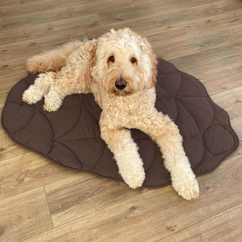 Pet's Cozy Cotton Blend Dog Blanket | Stylish Leaf Pattern Mat 8