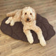 Pinecone Brown - 38*48 in